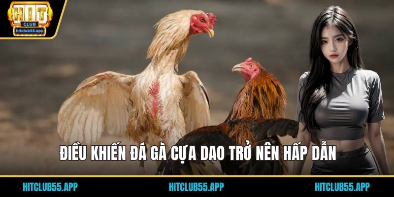 Điều khiến đá gà cựa dao trở nên hấp dẫn