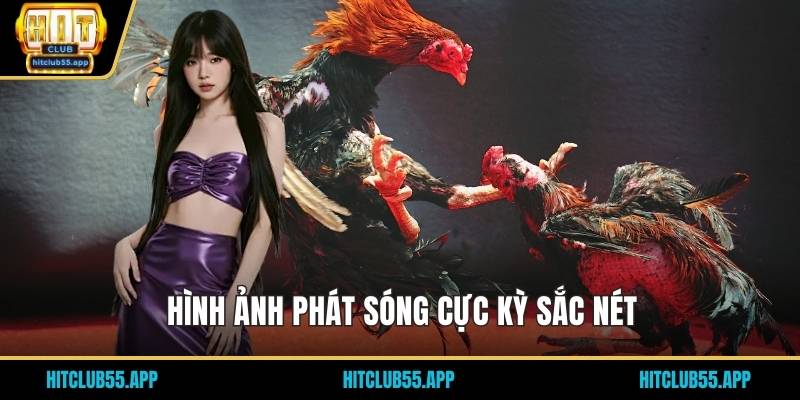 Hình ảnh phát sóng cực kỳ sắc nét