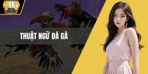 Thuật ngữ đá gà