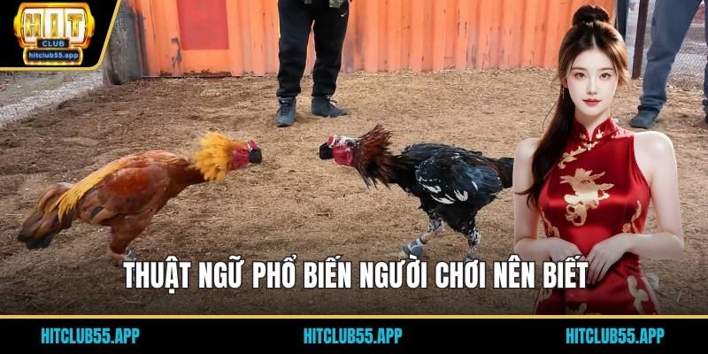 Thuật ngữ phổ biến người chơi nên biết