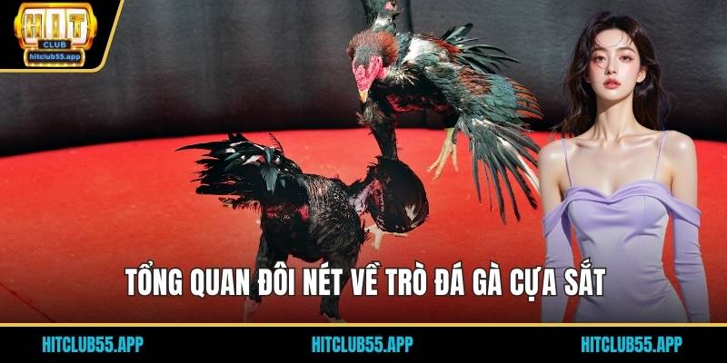 Tổng quan đôi nét về trò đá gà cựa sắt