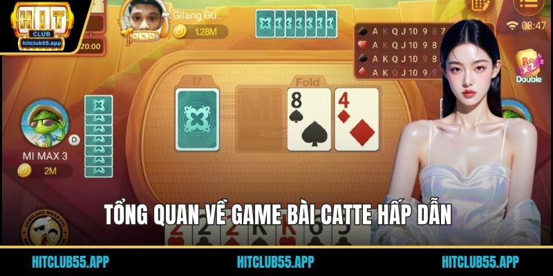 Tổng quan về game bài Catte hấp dẫn